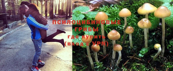 mix Аркадак